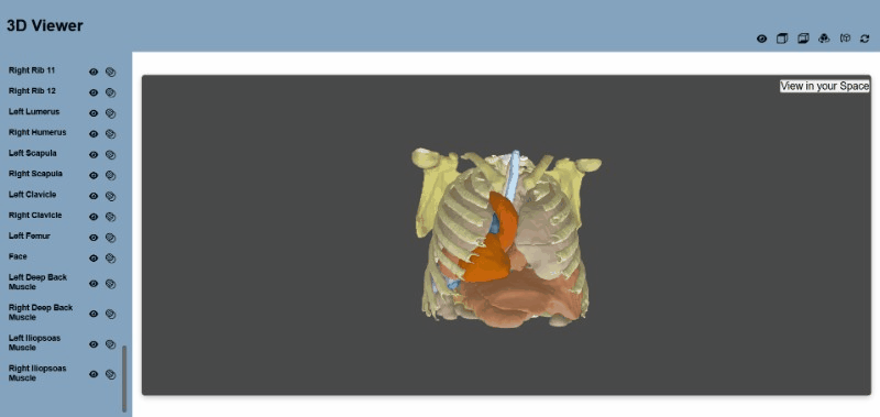ImagiXAI 3D viewer showing an automatically generated vertebrae model